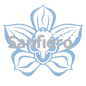 Sanfiero Orchids